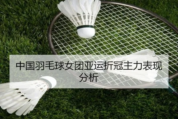 中国羽毛球女团亚运折冠主力表现分析（qiedingjing）